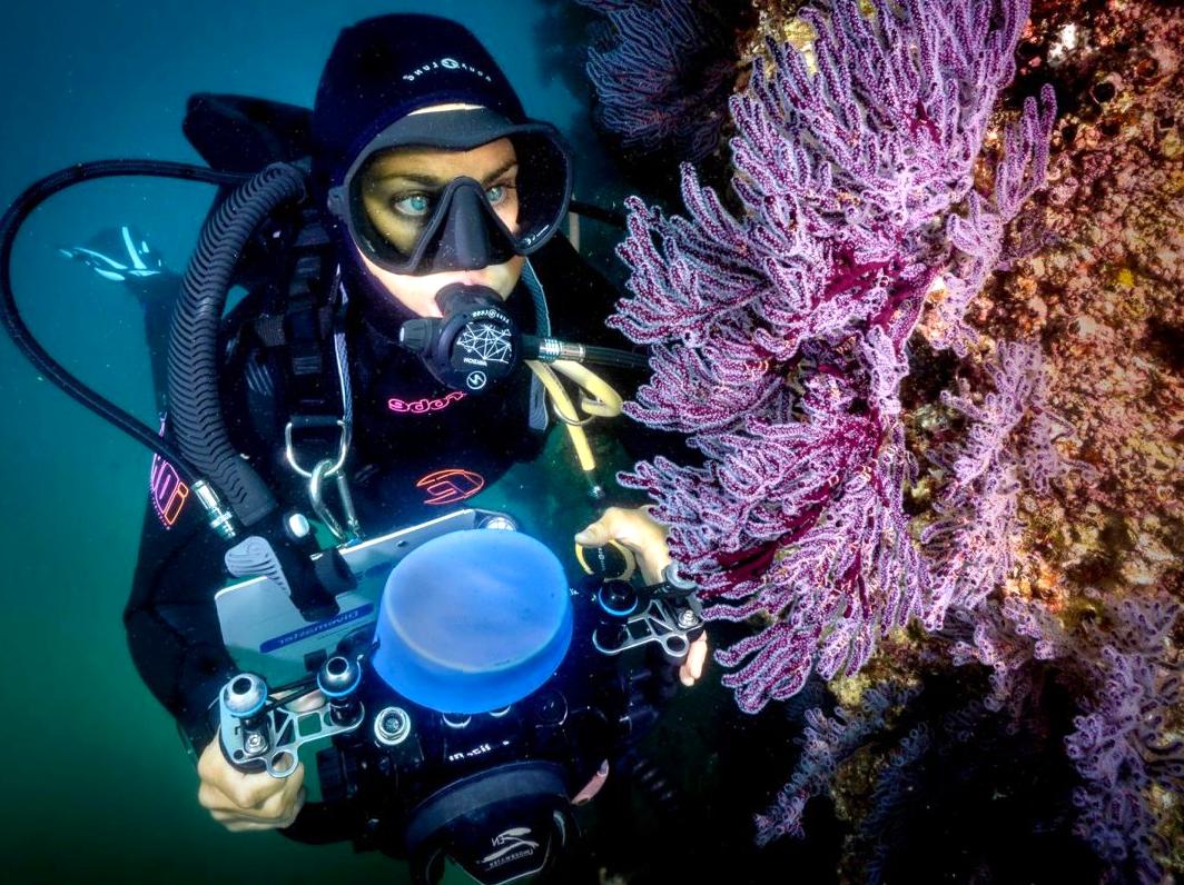 Engaging in Reef Preservation Training Sessions