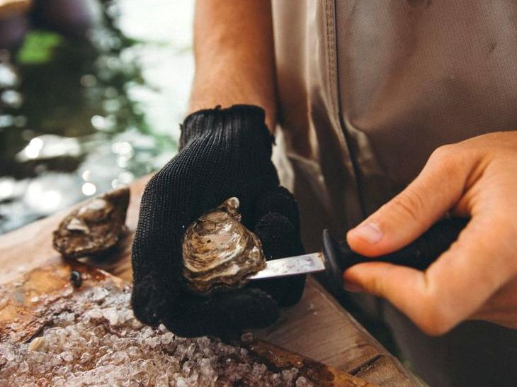 Guided Seafood Tasting Adventure: Savoring Local Flavors