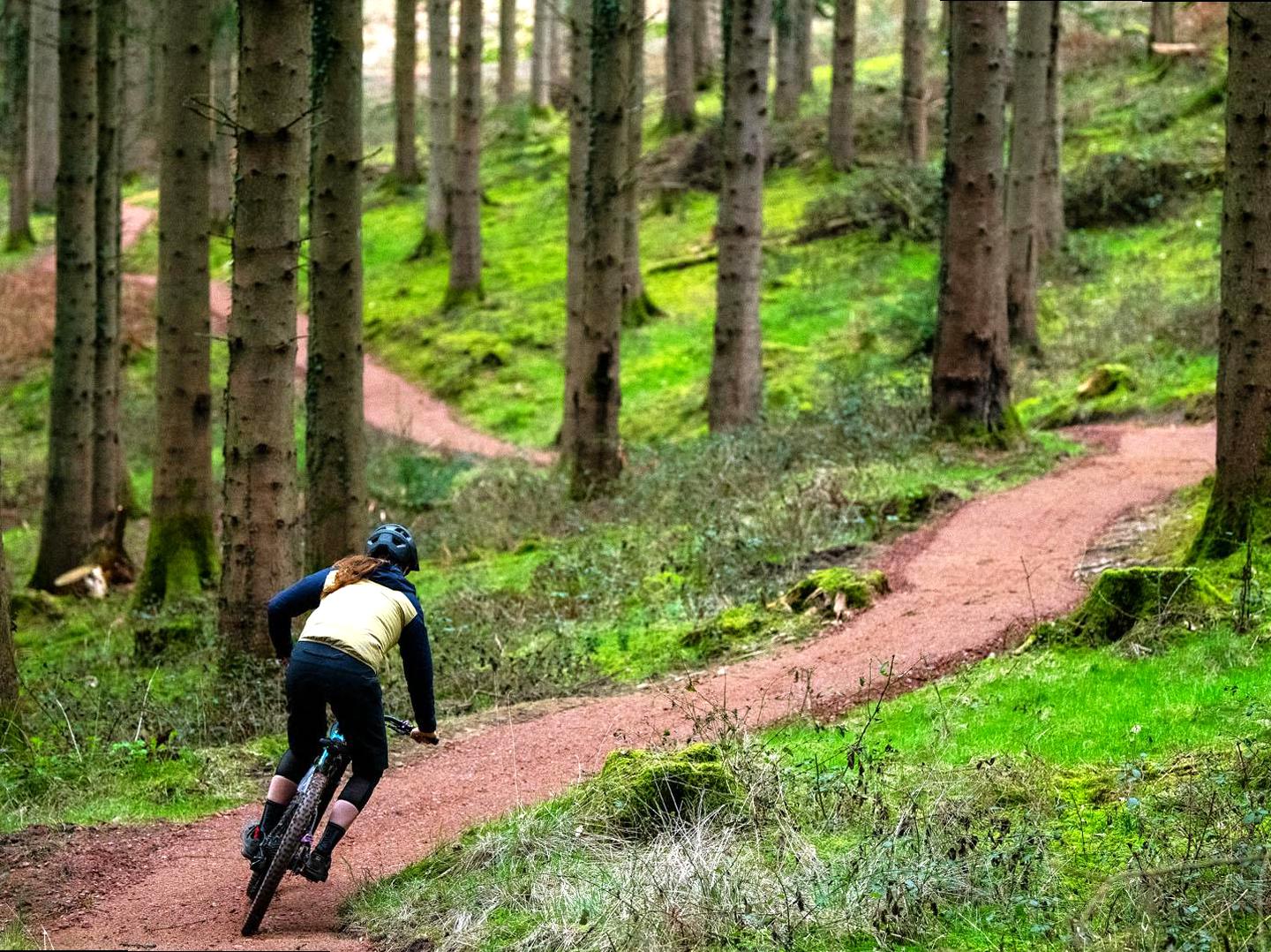 Scenic Cycling Journeys Through Wooded Areas