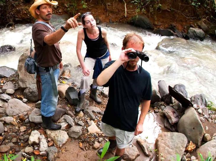 Exotic Birdwatching Trips: Discovering Rare Feathered Species