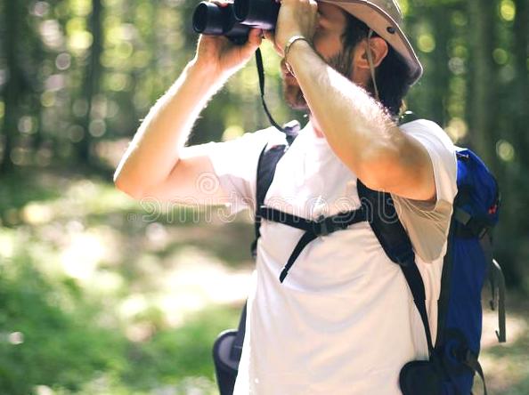 Birdwatching Journeys: Encountering Uncommon and Stunning Birds