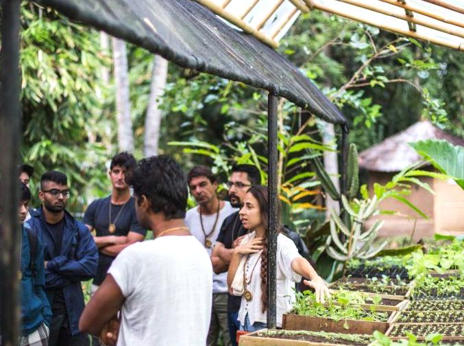 Learning About Organic Farming and Eco-Friendly Techniques