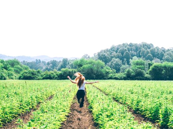 Visiting an Organic Farm: Insights into Sustainable Practices