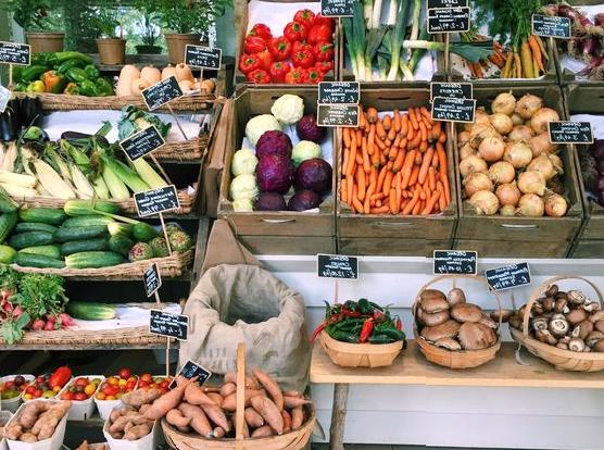 Discovering Sustainable Farming Through an Organic Farm Tour