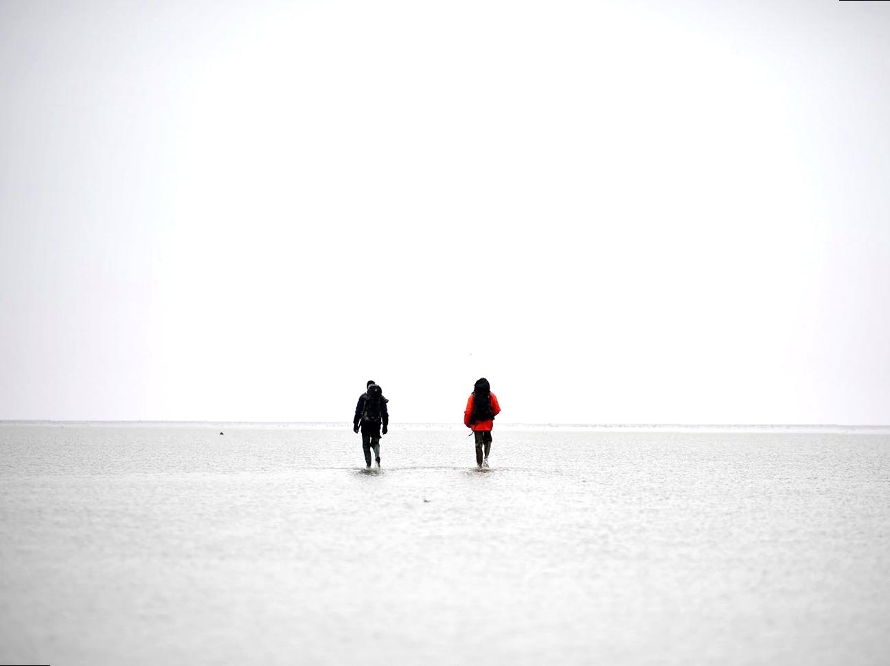 The Wonders of Mudflat Walking During Low Tide