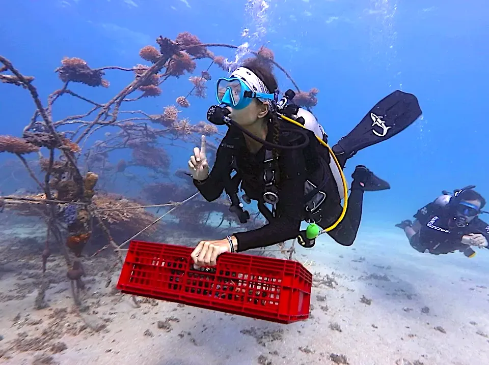 Involvement in Workshops Dedicated to Coral Conservation